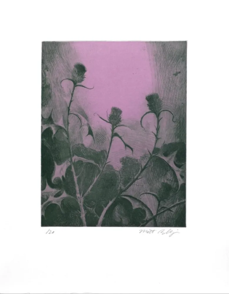 Grabado Bollinger - Dusk Thistle