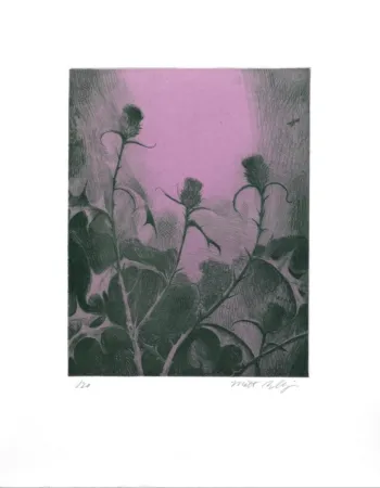 Grabado Bollinger - Dusk Thistle