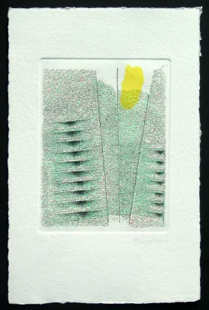 Aguafuerte Y Aguatinta Bonalumi - Senza titolo