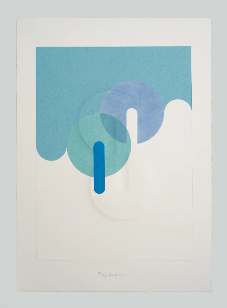 Relieve Bonalumi - Superficie (B)