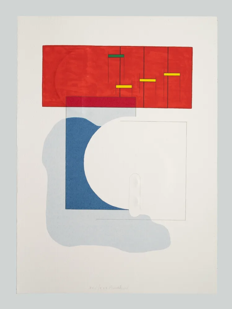 Relieve Bonalumi - Superficie (C)