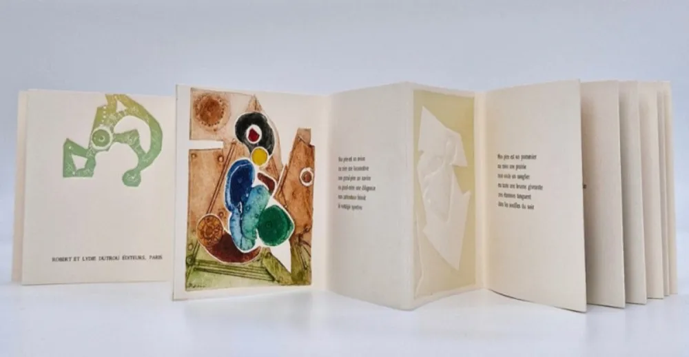 Libro Ilustrado Boni - Transfert