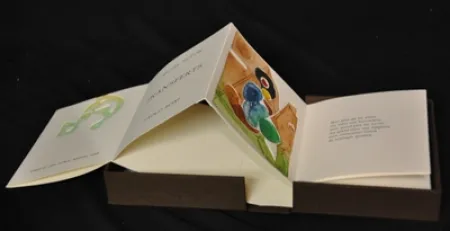 Libro Ilustrado Boni - Transferts