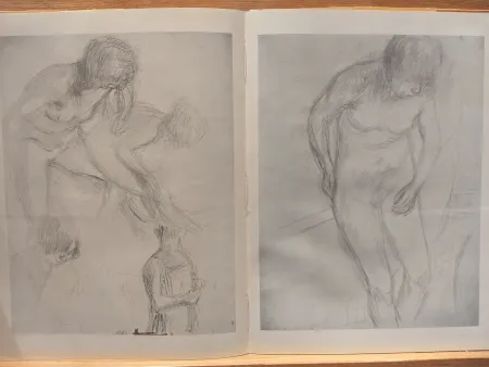 Libro Ilustrado Bonnard - Couleur De Bonnard