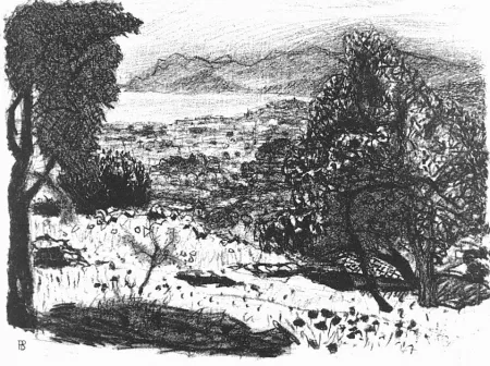 Litografía Bonnard - Paisage du midi