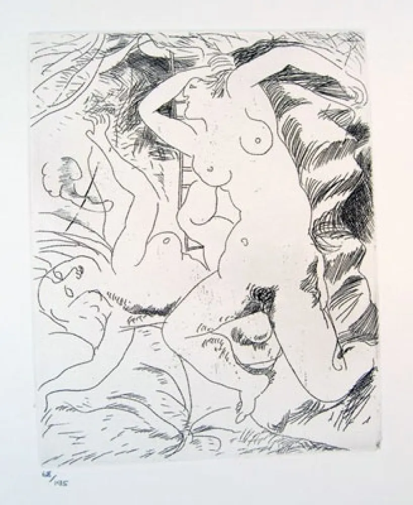 Aguafuerte Bores - Carpeta