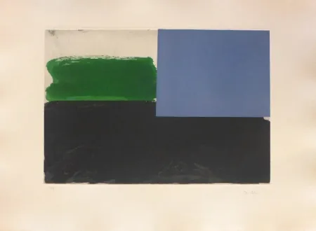 Grabado Borrell Palazón - Espais 1