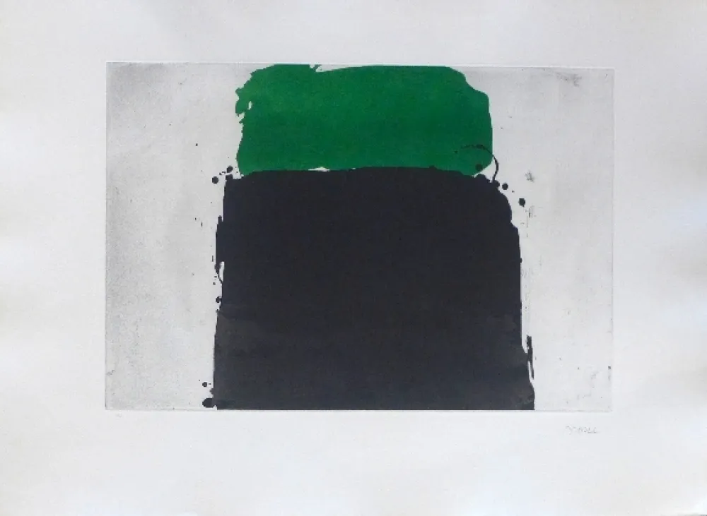 Grabado Borrell Palazón - Espais 2