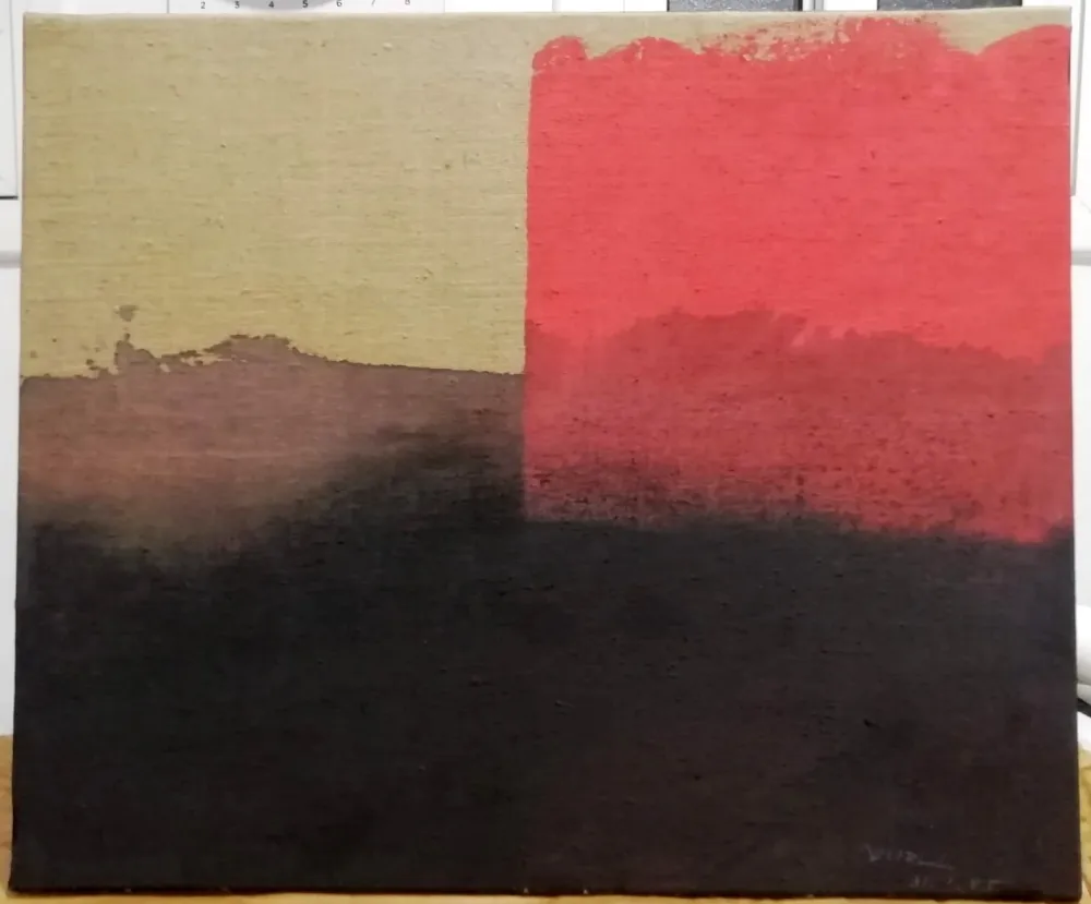 Sin Técnico Borrell Palazón - Estructura rosa sobre negre