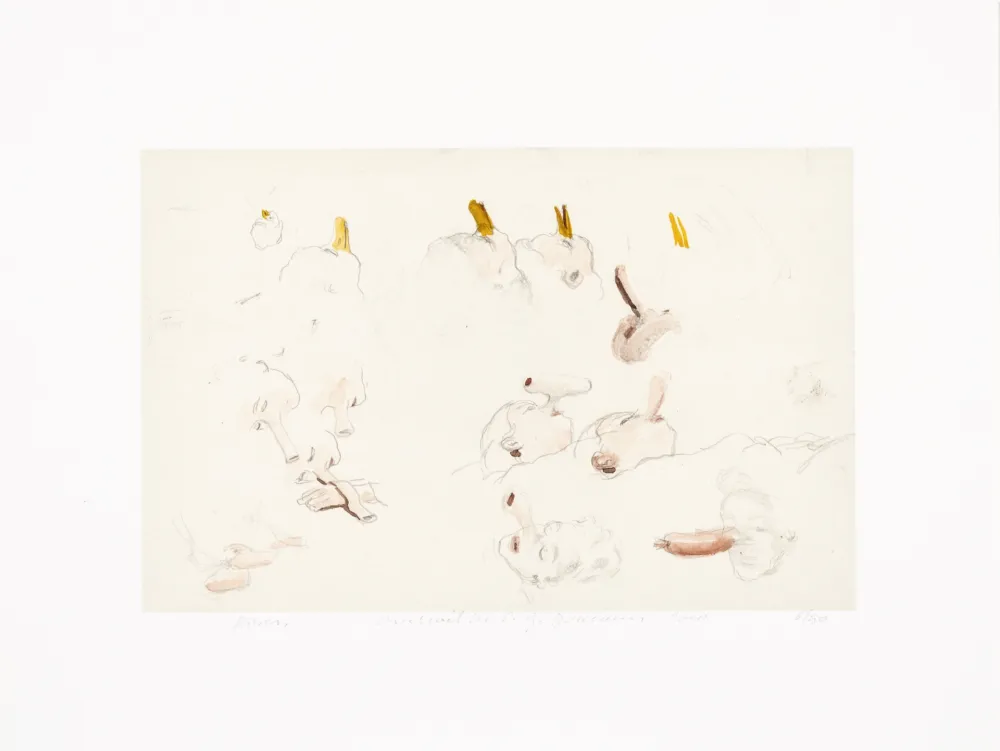 Estampa Numérica Borremans - Noses