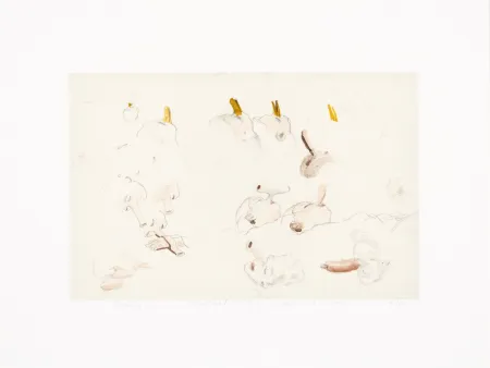 Estampa Numérica Borremans - Noses