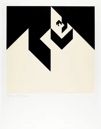 Grabado En Madera Bosshard - Variation 6