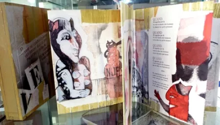 Libro Ilustrado Botti  - Des chats dites-vous ?