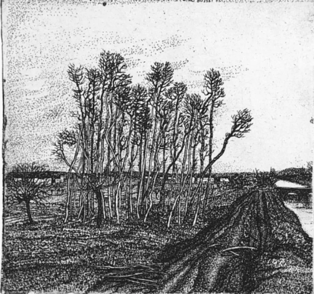 Aguafuerte Bozzetti - Il boschetto lungo l'argine (II versione)