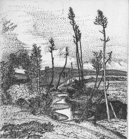 Aguafuerte Bozzetti - Il torrente