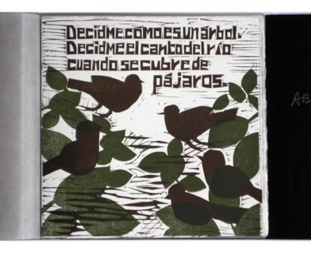 Libro Ilustrado Brancaforte - Decidme cómo es un árbol