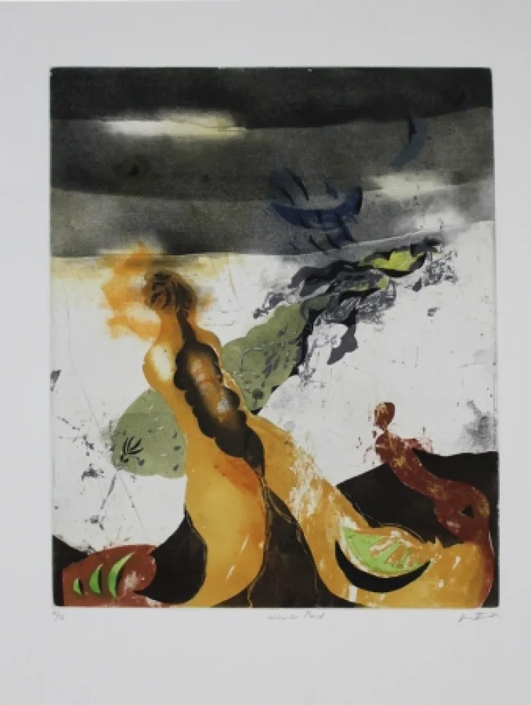 Aguafuerte Y Aguatinta Brandstätter - Sinkender Mond / Sinking World