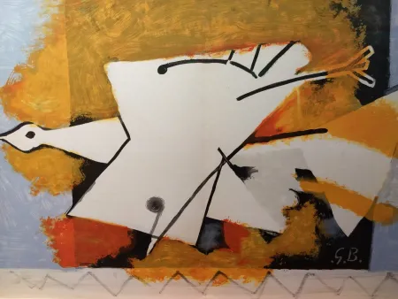 Libro Ilustrado Braque - DLM 115