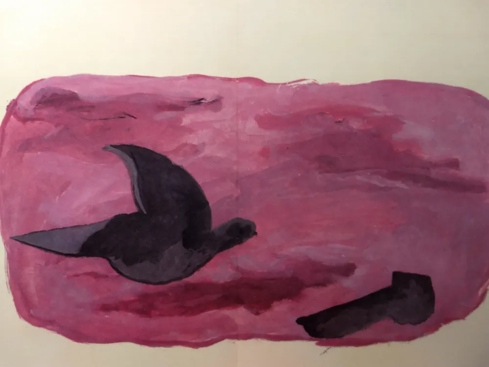 Libro Ilustrado Braque - DLM 166