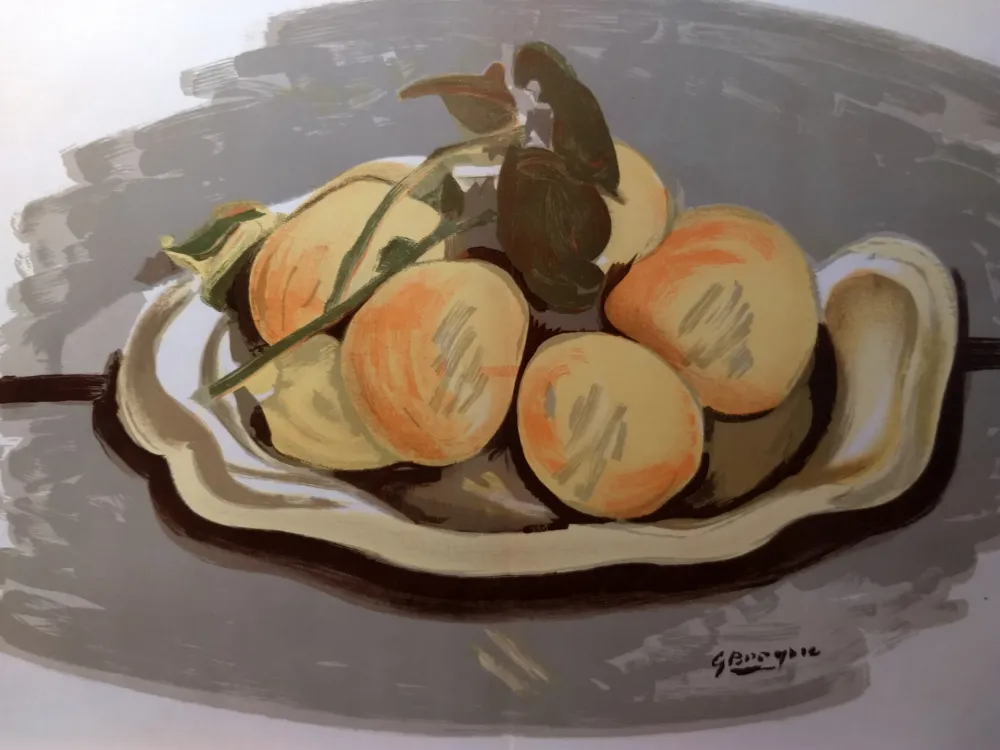 Libro Ilustrado Braque - DLM 48-49