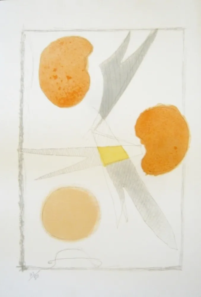 Litografía Braque - Tirée de La liberté des mers