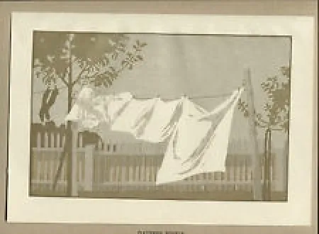 Grabado En Madera Braumüller-Havermann - Flatternde Windeln