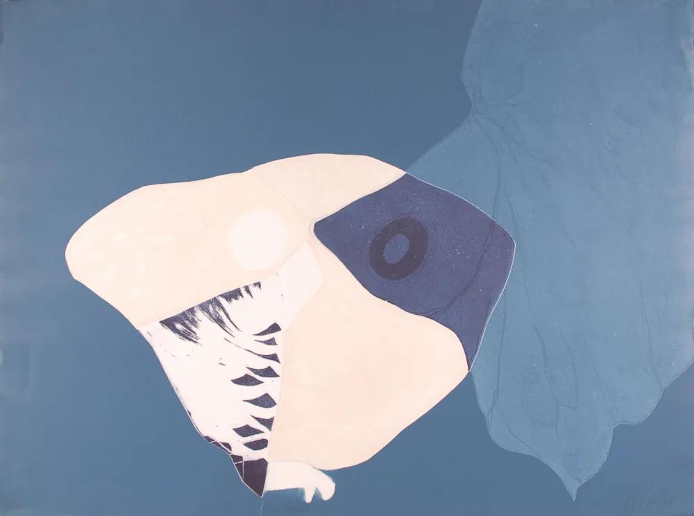 Aguafuerte Brillant - La Chouette