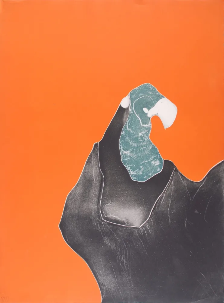 Aguafuerte Brillant - Le Rocher Perroquet