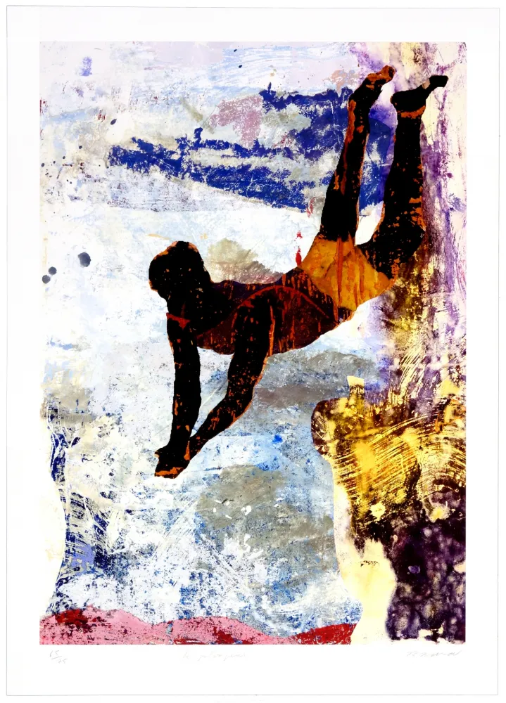 Estampa Numérica Brisson - Le plongeur