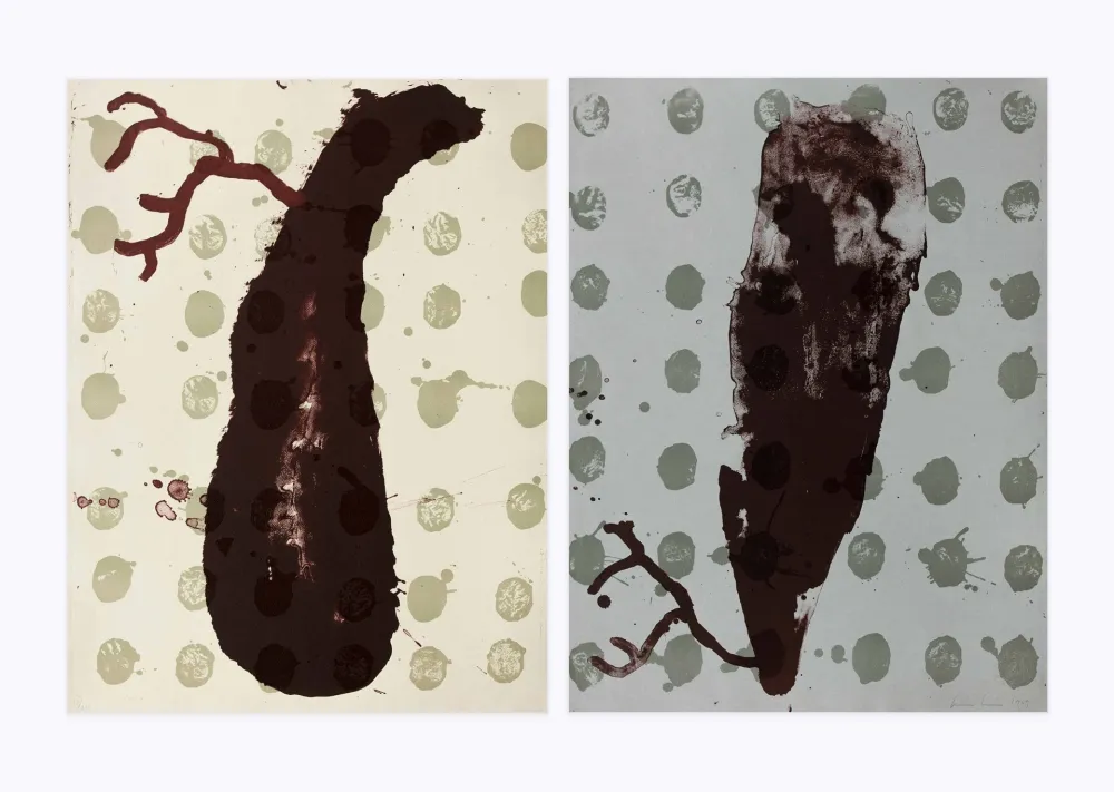 Litografía Brown - Two cells diptyque