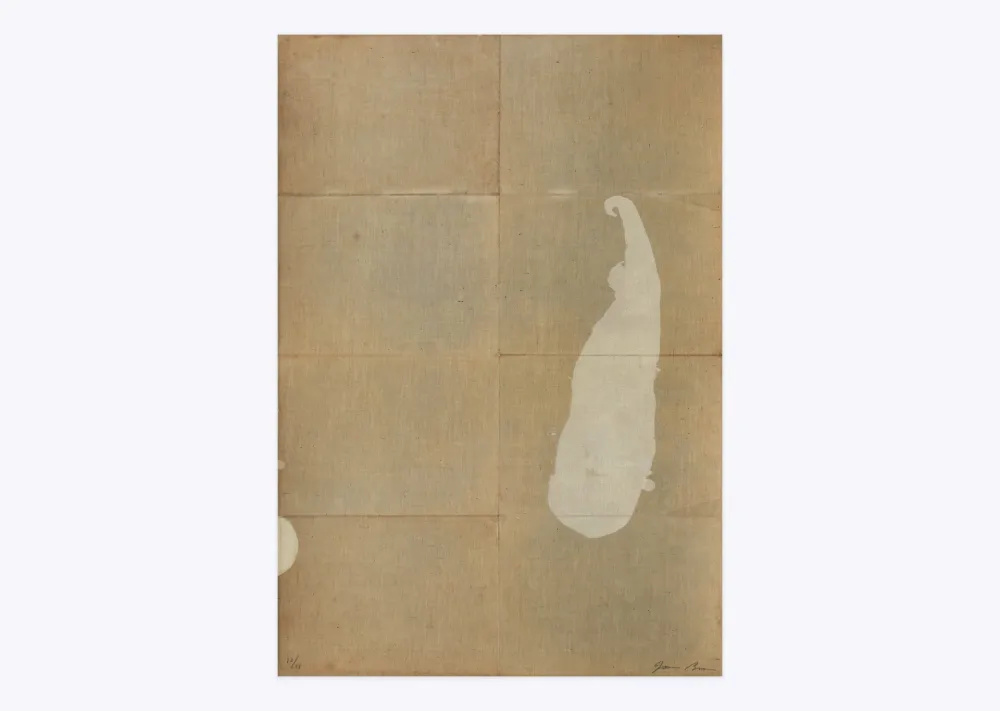 Litografía Brown - White salt 