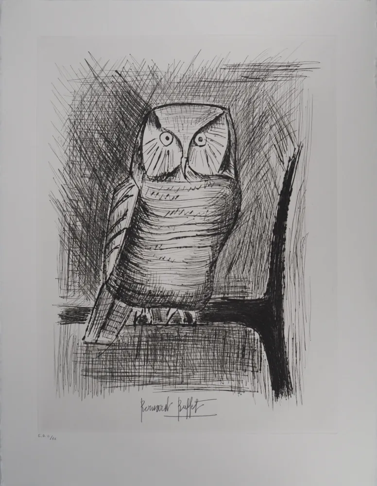 Grabado Buffet - Chouette épervière,