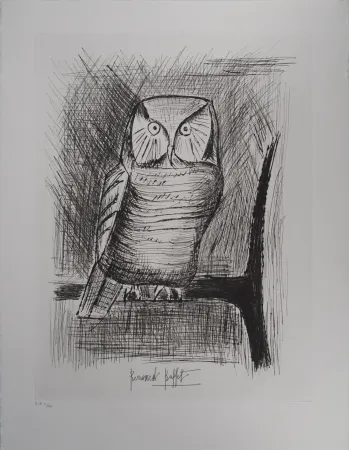 Grabado Buffet - Chouette épervière,