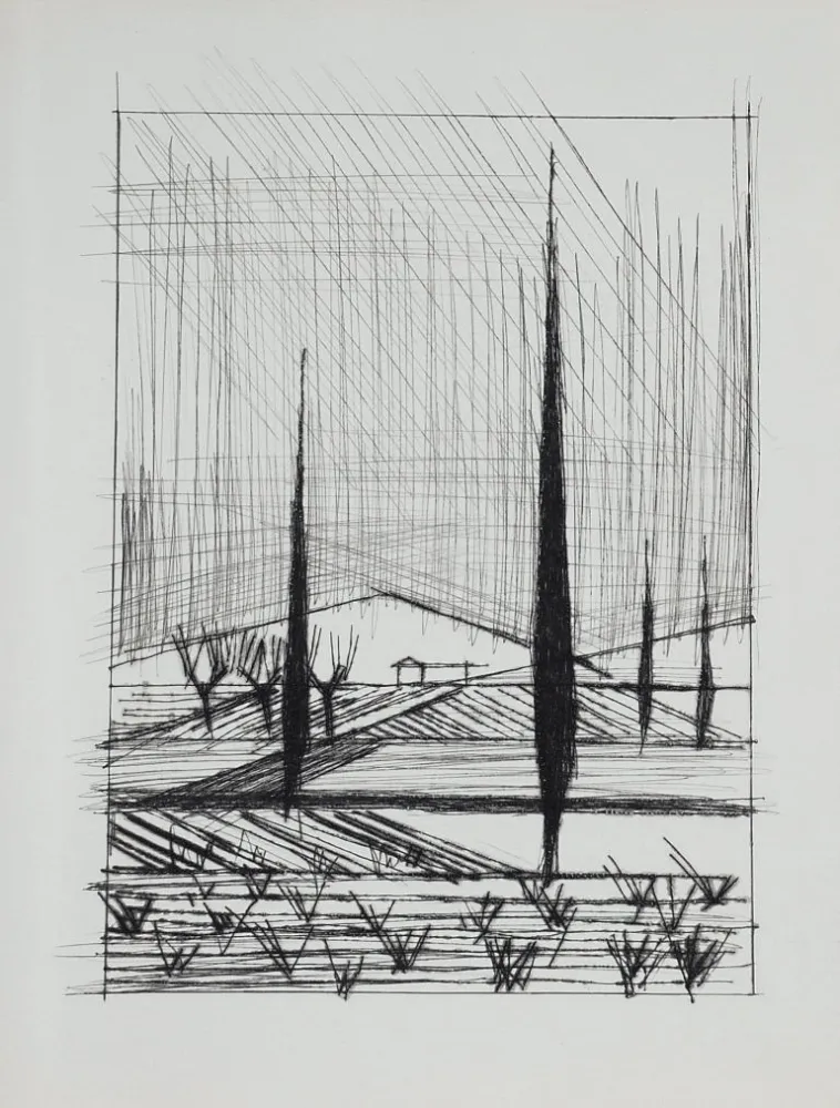 Punta Seca Buffet - Naples, ca