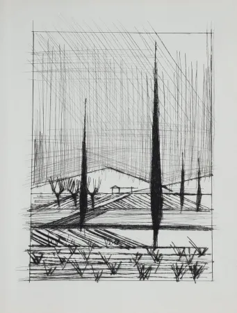 Punta Seca Buffet - Naples, ca