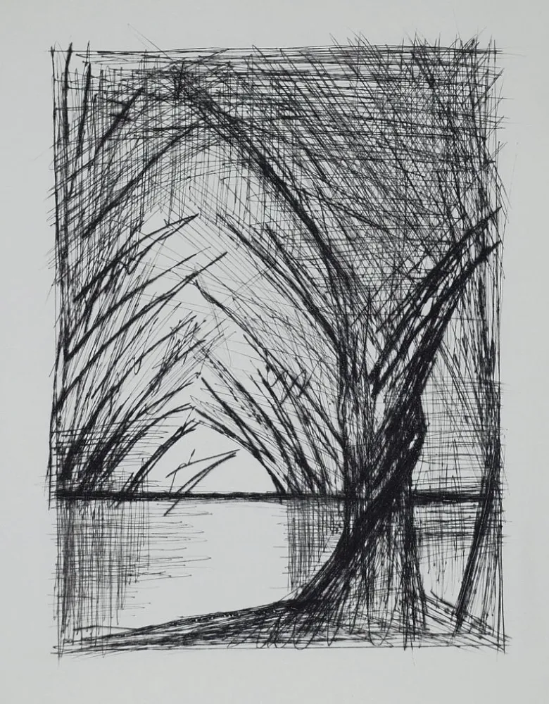 Punta Seca Buffet - Naples, ca.