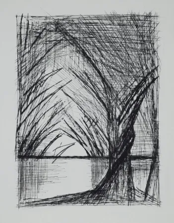 Punta Seca Buffet - Naples, ca.