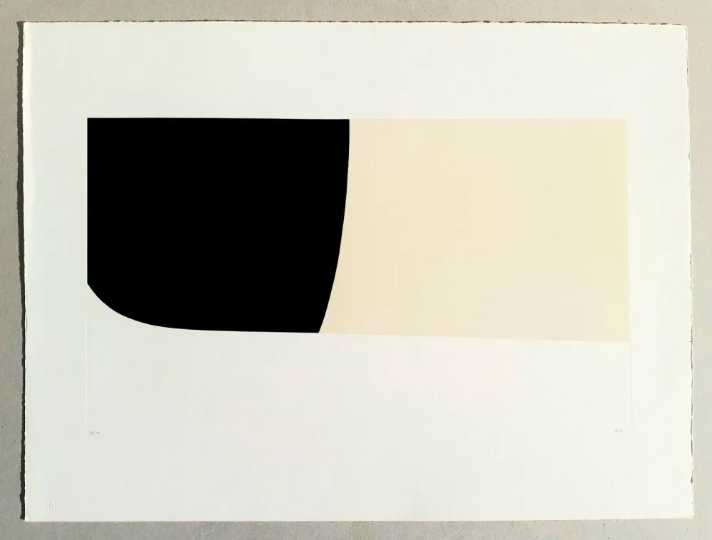 Litografía Burri - Bianchi e neri II