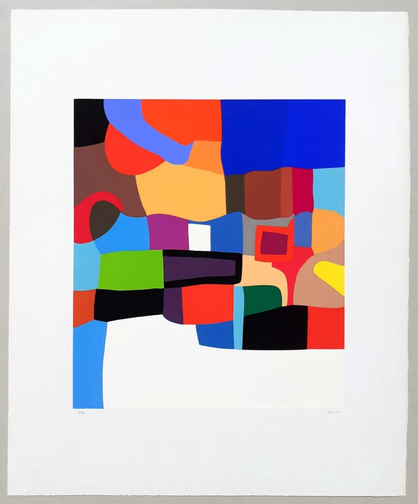 Serigrafía Burri - Serigrafia 2-D