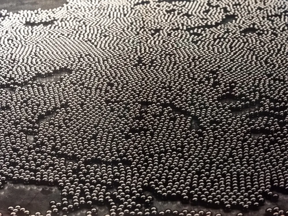 Libro Ilustrado Bury - DLM 191