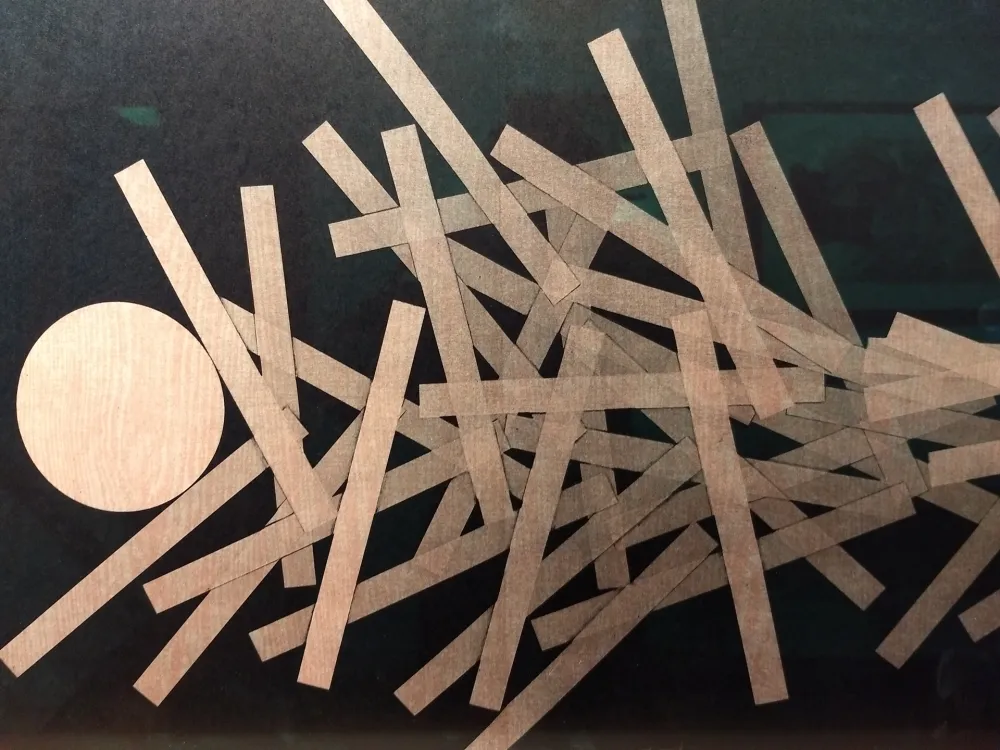 Libro Ilustrado Bury - DLM 228