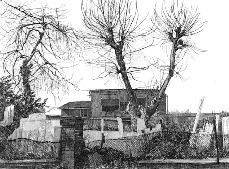 Aguafuerte Cacciarini - Alberi