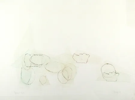 Punta Seca Cage - Ryoku 2