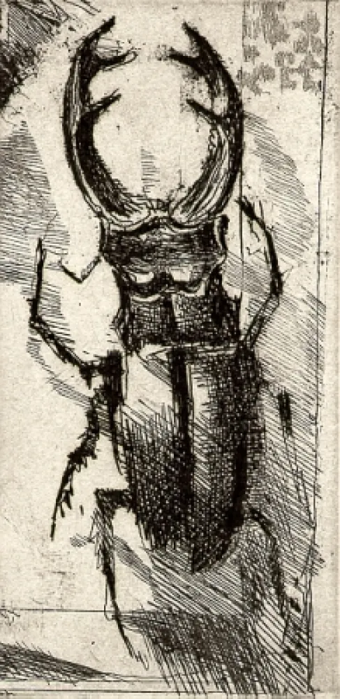 Libro Ilustrado Calandri - Ballades et Rondeaux du Testament Villon