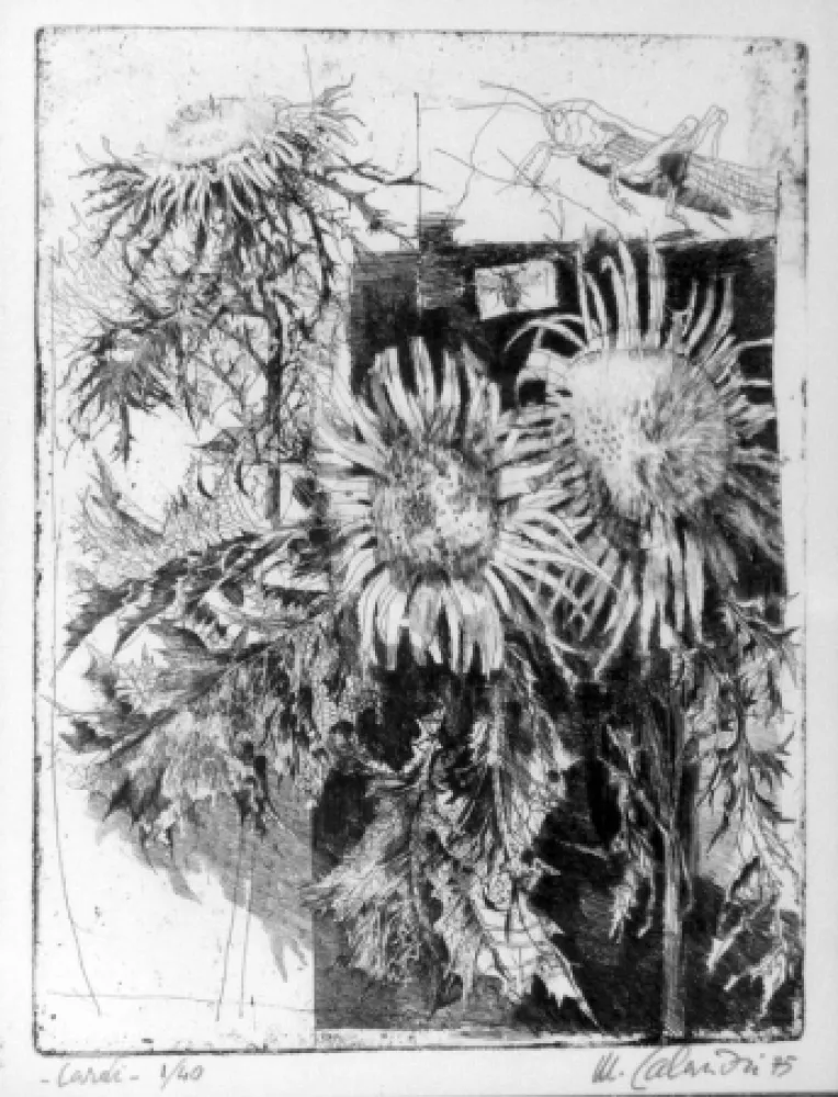 Aguafuerte Calandri - Cardi