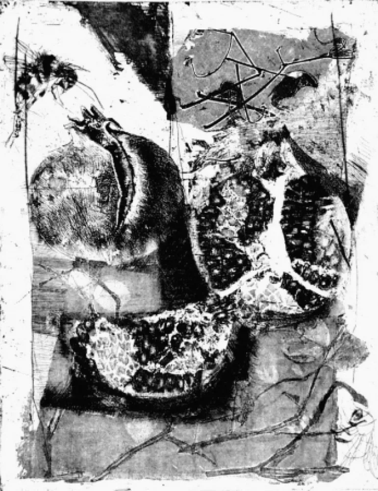 Aguafuerte Calandri - Melograne