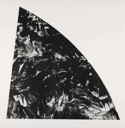 Litografía Calder - Baie Rouge