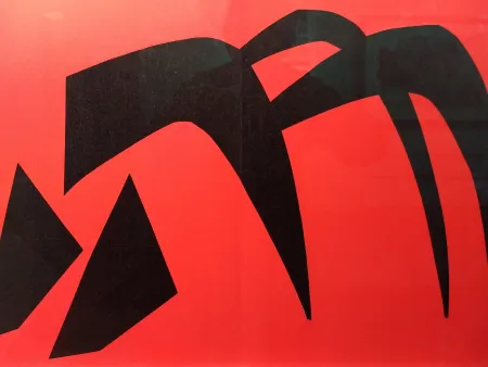 Libro Ilustrado Calder - DLM 113