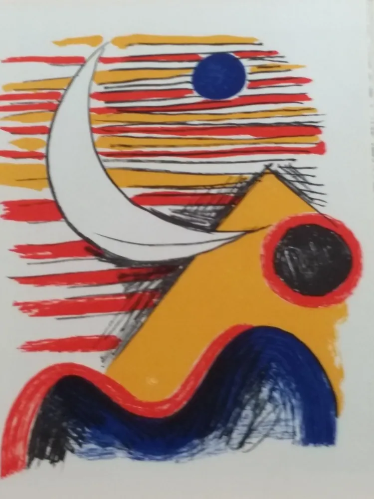 Libro Ilustrado Calder - DLM 121 122