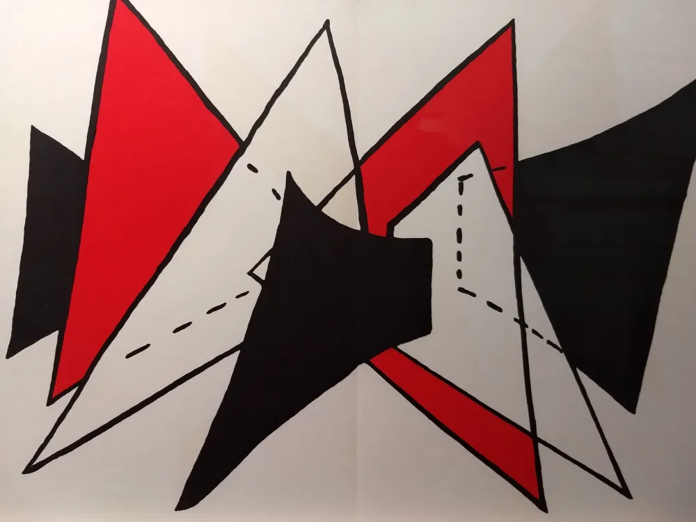 Libro Ilustrado Calder - DLM 141